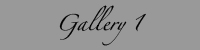 still life gallery 1