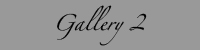 still life gallery 2